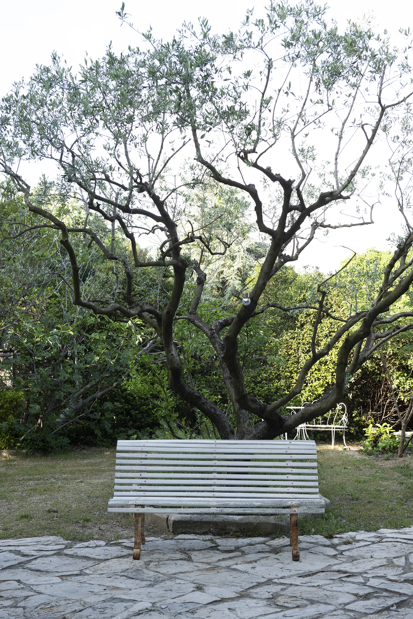 Jardin provençal et piscine de Villa Plaisance à Bédarrides