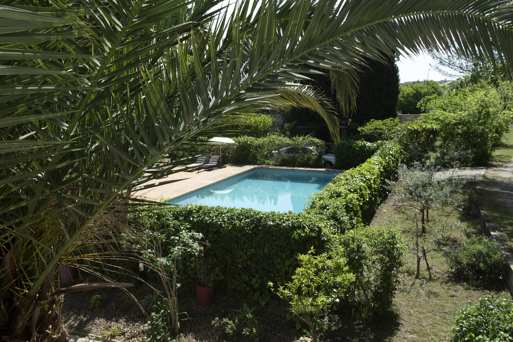 Jardin provençal avec oliviers centenaires — Villa Plaisance, Bédarrides