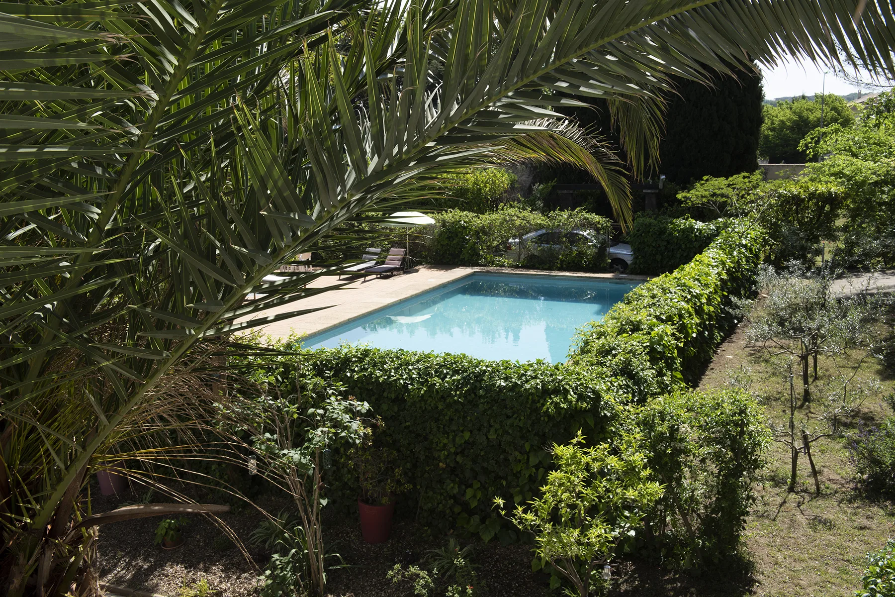 Piscine privée et clôturée 12×6 m
